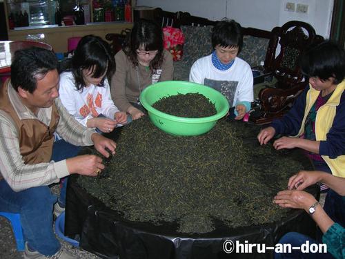 文山包種茶製茶実習の合間に「製茶作業」